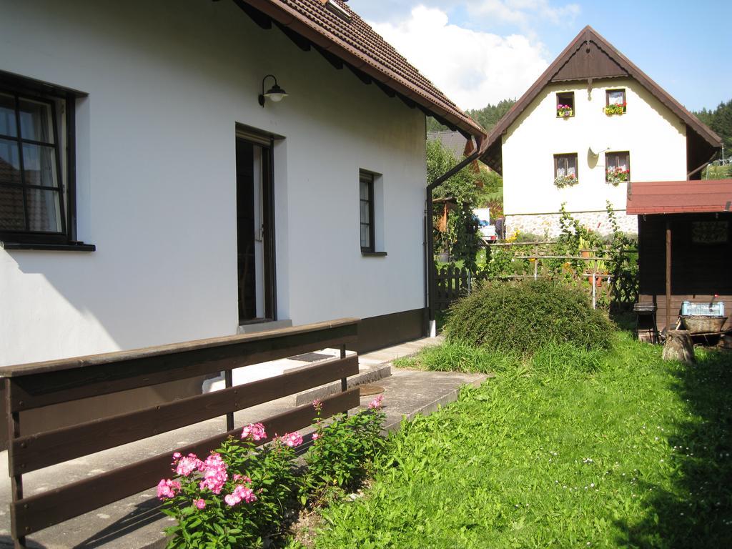 ליפנו נאד וויטאבו Lipno Family Cottage מראה חיצוני תמונה