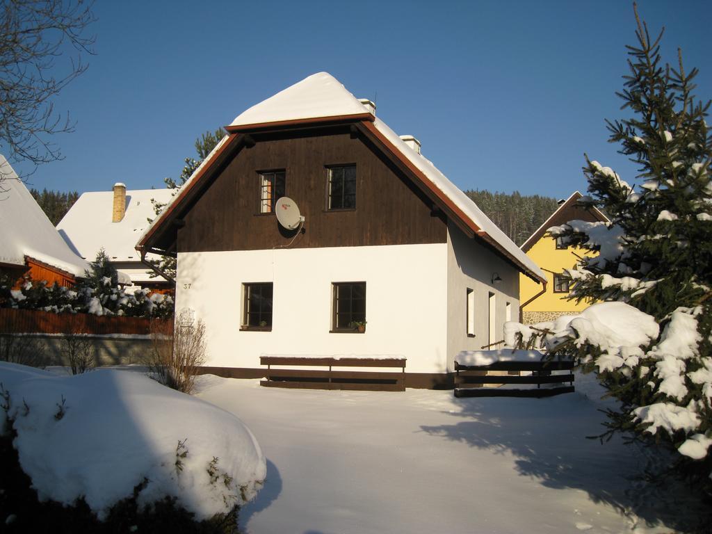 ליפנו נאד וויטאבו Lipno Family Cottage מראה חיצוני תמונה