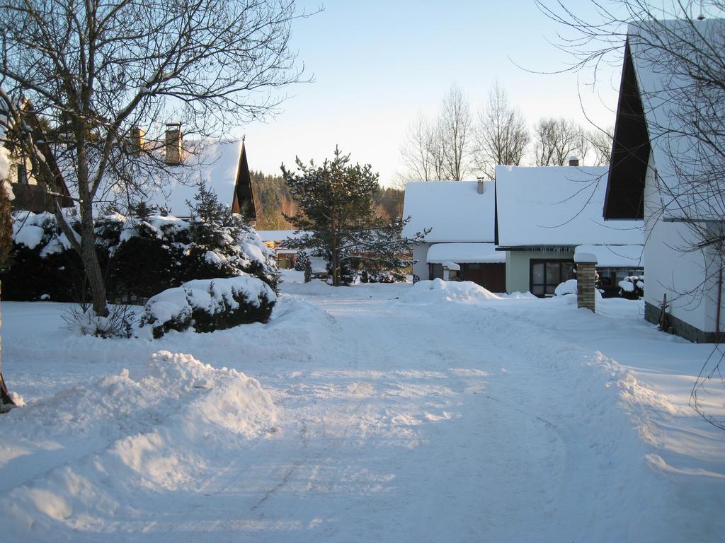 ליפנו נאד וויטאבו Lipno Family Cottage מראה חיצוני תמונה