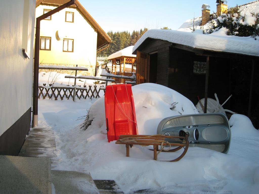 ליפנו נאד וויטאבו Lipno Family Cottage מראה חיצוני תמונה